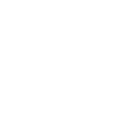 V Logo